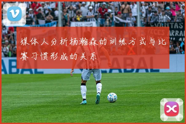 媒体人分析杨瀚森的训练方式与比赛习惯形成的关系