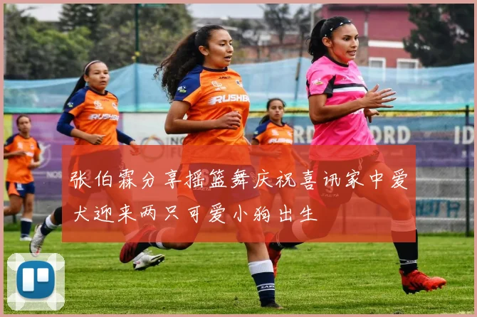 张伯霖分享摇篮舞庆祝喜讯家中爱犬迎来两只可爱小狗出生