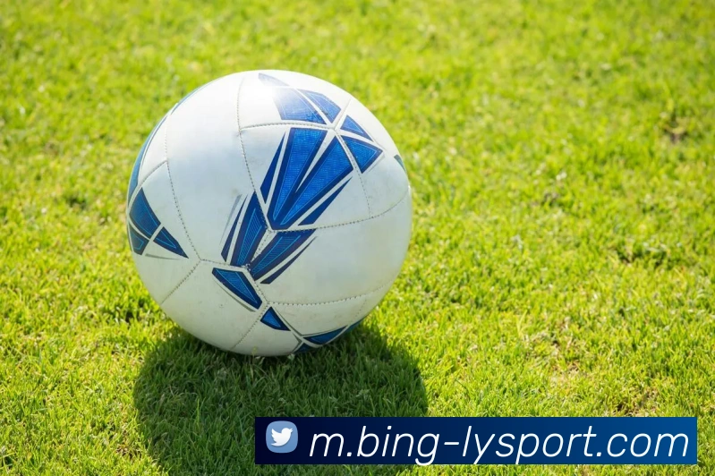 乐鱼体育平台生态图